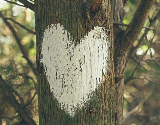 Marbo in love